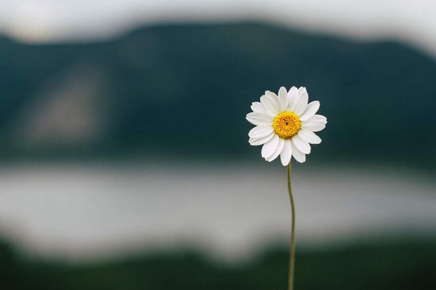 苹果手机电死人(苹果手机真的一点都不会卡吗)