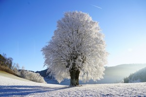 苹果手机4代多少钱(我的苹果4代32G手机想卖掉能卖多少钱)