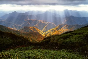 三星手机上海维修点