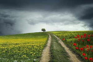 苹果id解锁(苹果id老是需要验证和解锁)