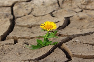 苹果3gs解锁(苹果4锁屏了密码忘了怎么办)