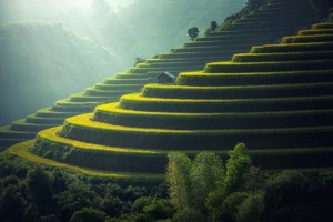 超长待机智能手机推荐(什么手机的电池耐用)