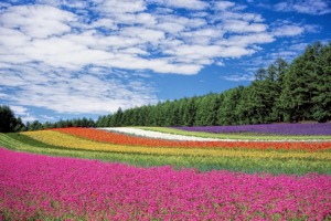 三星手机价格大全