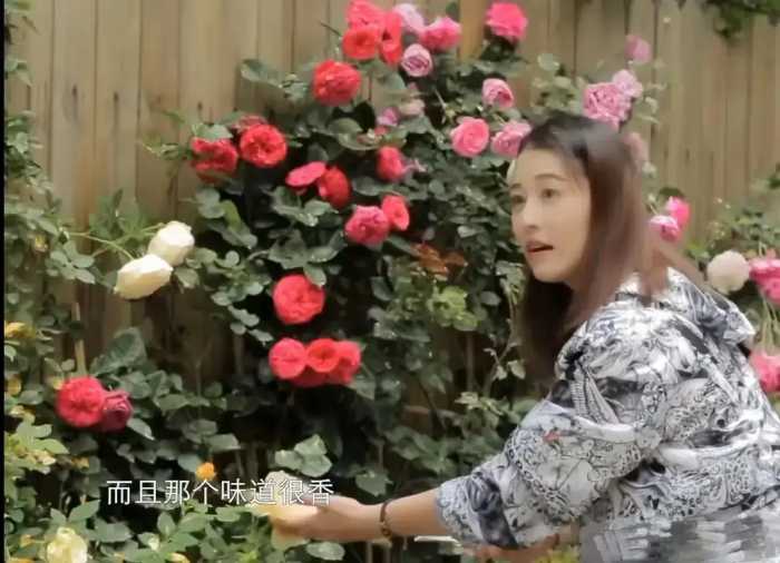 周海媚在北京的家里度过了最后20多天的日子！每天都活力满满