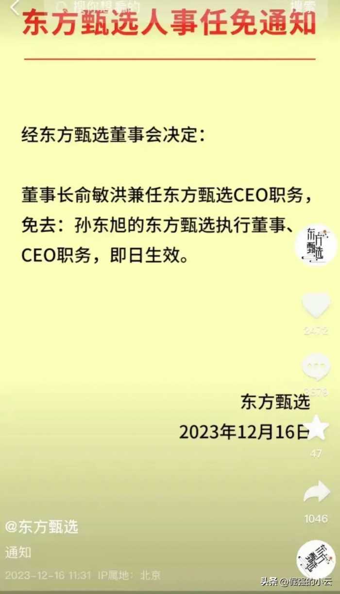 多输！东方甄选CEO免职，预言帝张雪峰不光嘴很毒，眼光也很毒