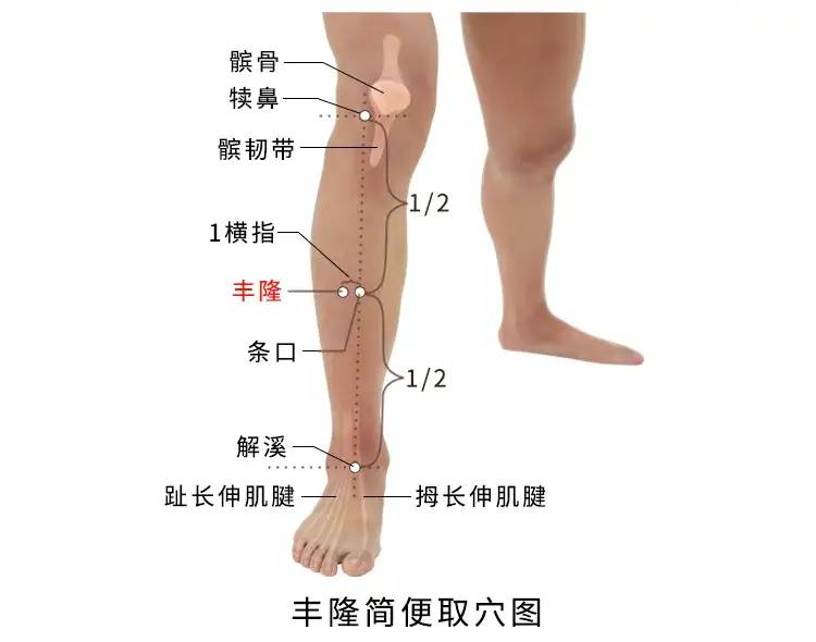 冬天脚后跟干裂，小腿长“鱼鳞”，真相不是皮肤缺水！病根在这里