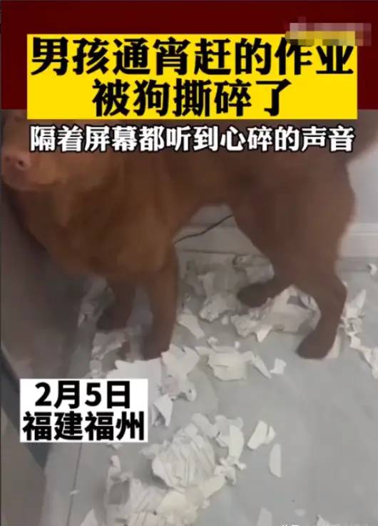 笑不活了！2023十大奇葩新闻，个个都是人才，肯定有你没看过的