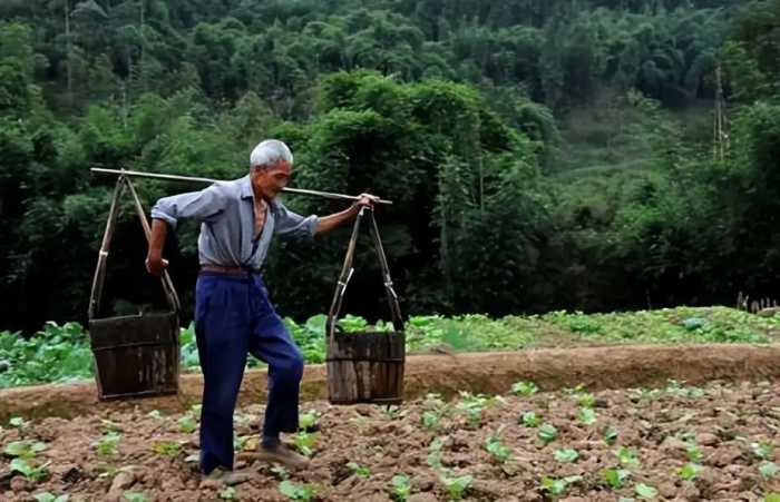 人到70岁，最好开启“低欲生活”，不做五事，晚年才能安享福报