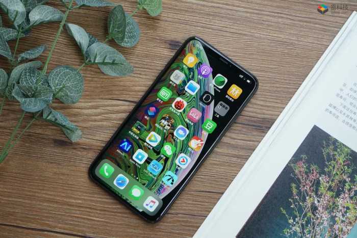 iPhone XS Max评测：平庸多于惊喜的超级旗舰