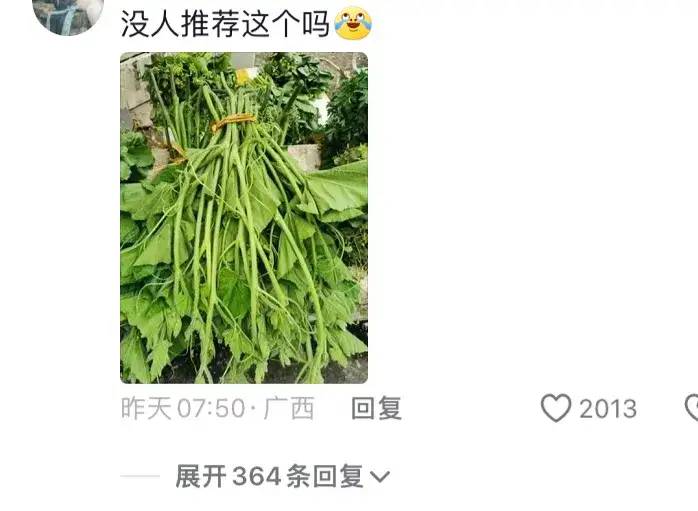 东北人在广西旅游带蔬菜回去引热议！网友：广西的蔬菜甜甜脆脆的