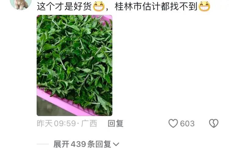 东北人在广西旅游带蔬菜回去引热议！网友：广西的蔬菜甜甜脆脆的