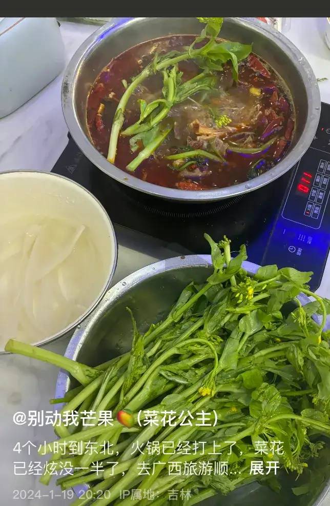 东北人在广西旅游带蔬菜回去引热议！网友：广西的蔬菜甜甜脆脆的