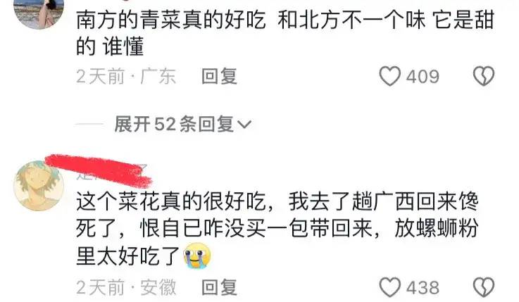 东北人在广西旅游带蔬菜回去引热议！网友：广西的蔬菜甜甜脆脆的