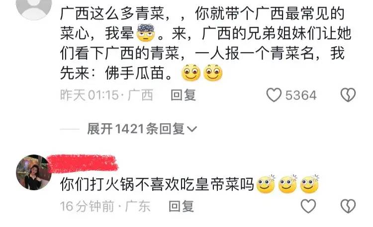 东北人在广西旅游带蔬菜回去引热议！网友：广西的蔬菜甜甜脆脆的