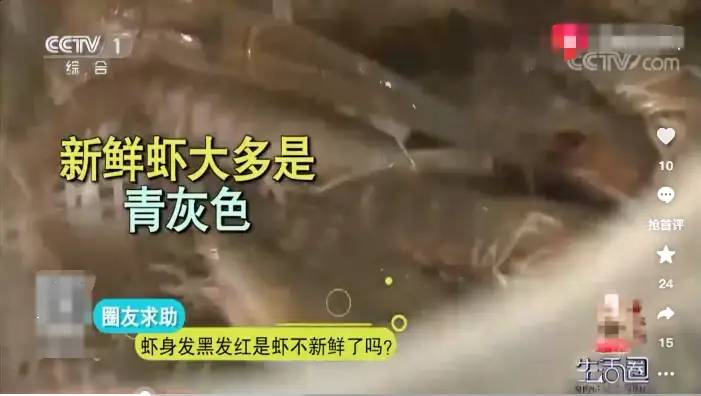 买大虾，选“直虾”还是“弯虾”？区别很大，建议弄明白再买