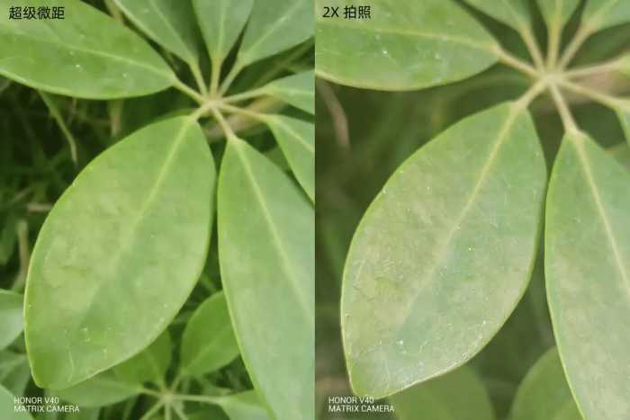 独立后首秀！荣耀V40评测：冉冉升起的旗舰新星