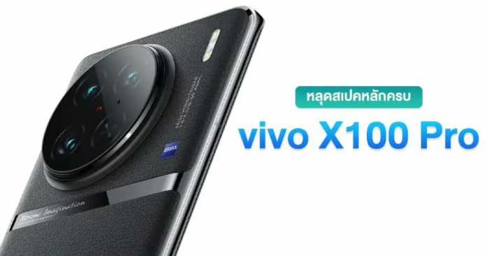 代号“灭霸”，vivo X100入网，双处理器 自研影像芯片，拍照首选