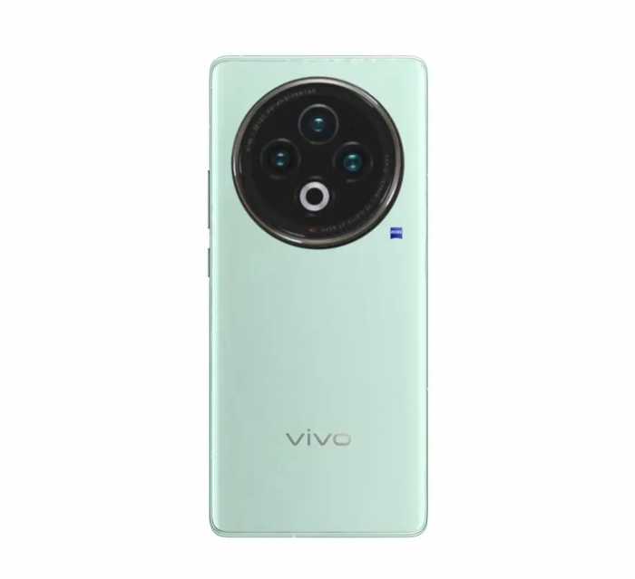 代号“灭霸”，vivo X100入网，双处理器 自研影像芯片，拍照首选