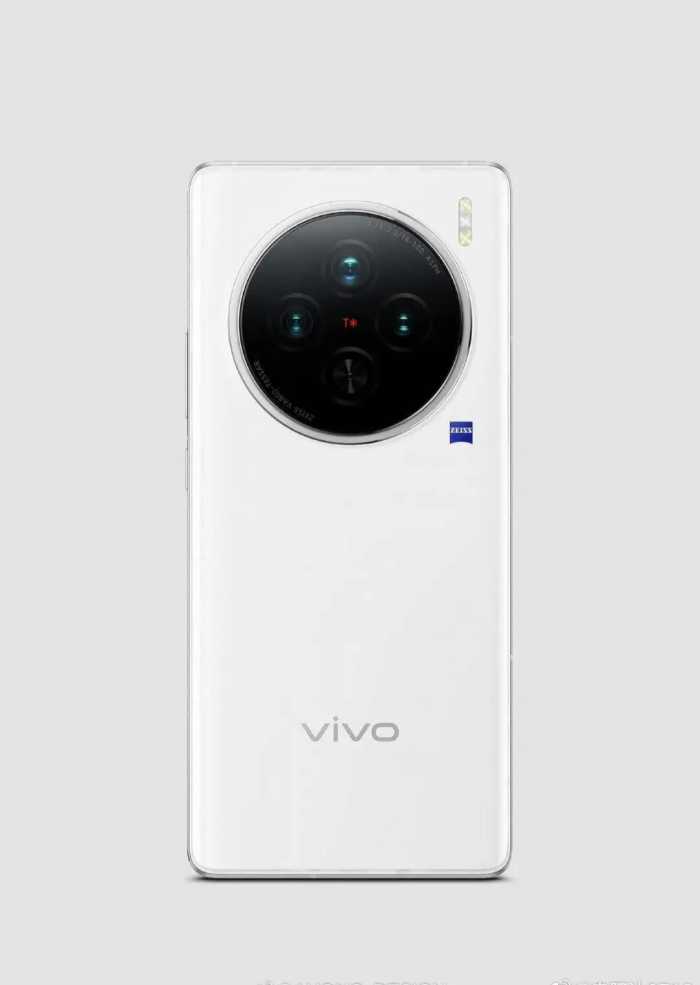 代号“灭霸”，vivo X100入网，双处理器 自研影像芯片，拍照首选