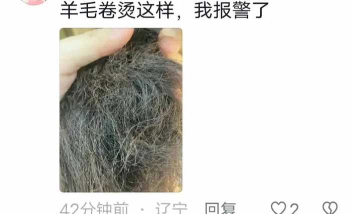 乖乖笑死我了，正纠结要不要去烫发，看了网友们的烫发照片省钱了