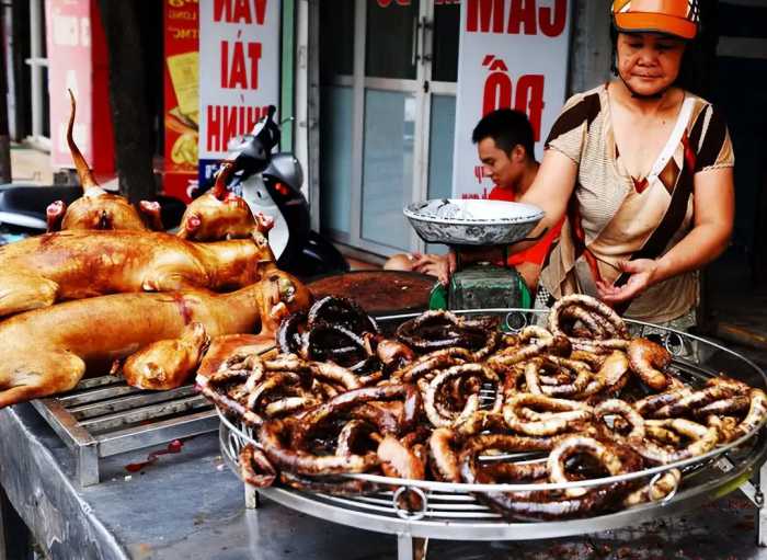 中国人为何不吃猫肉？李时珍早已告诉答案，古人早就尝试过