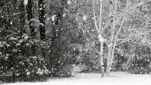 武汉年后开学日遇极端雨雪天气，家长要求延后，现在孩子太娇气？