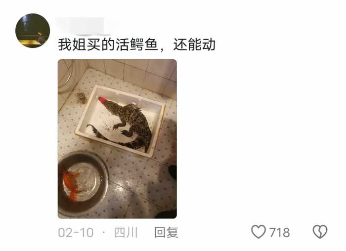 网购越来越离谱，现在的电商已经发展到这种地步了吗？