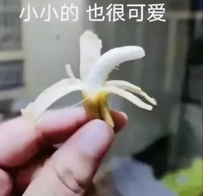 换汤不换药的三星，还值得买吗？