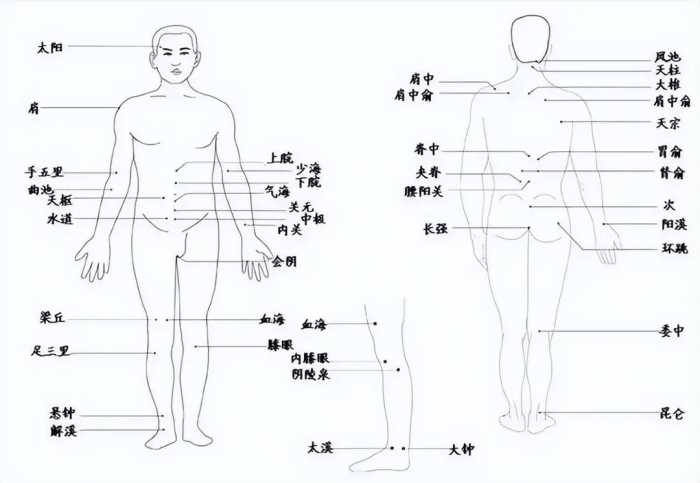 男子苦练点穴绝技数十载，专家牵来野猪验真假，最终他成功了吗？