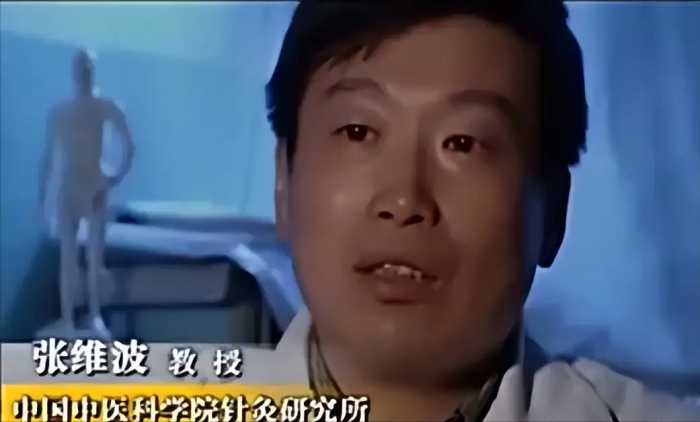 男子苦练点穴绝技数十载，专家牵来野猪验真假，最终他成功了吗？