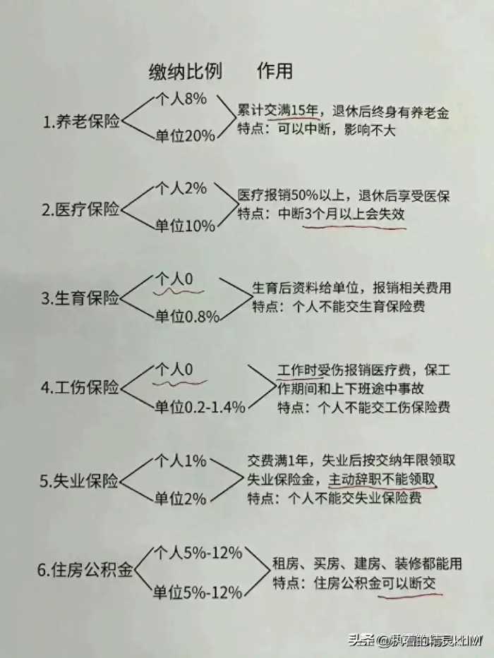 终于把五险一金弄懂了，不然就白交了