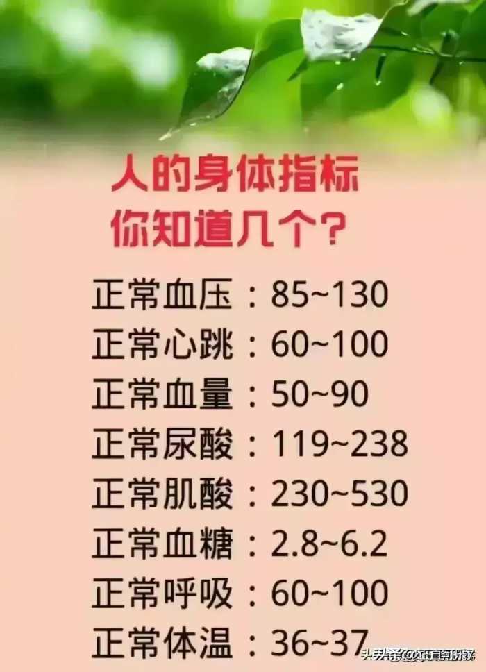 男人最“烧钱败家”的18个兴趣爱好，对照一下，你占了几个？