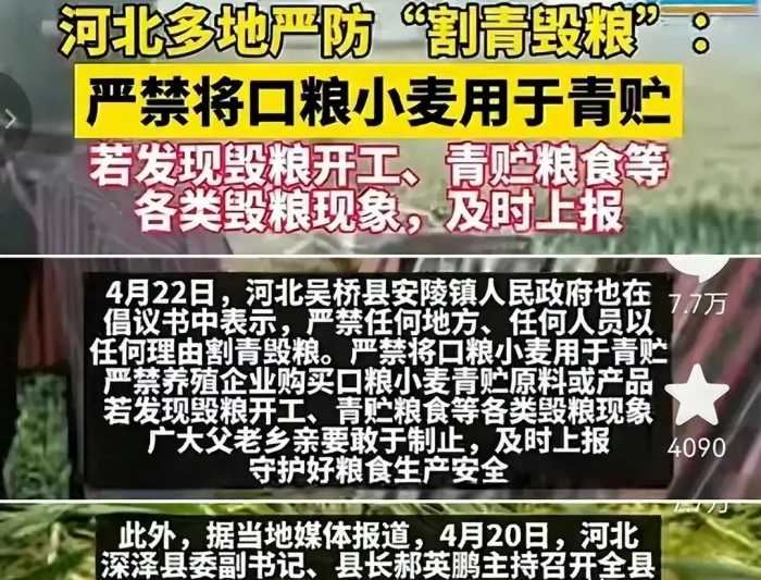 越闹越大！河北多地严防“割青毁粮”惹众怒！评论区被喷沦陷了！