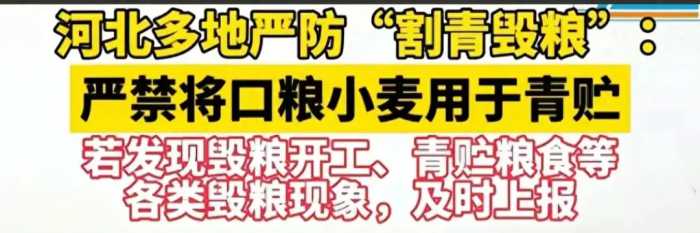 越闹越大！河北多地严防“割青毁粮”惹众怒！评论区被喷沦陷了！