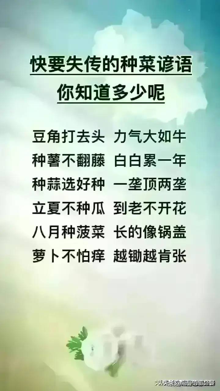 排名第一的蔬菜，经常买菜的人，收藏好了，太涨知识了。