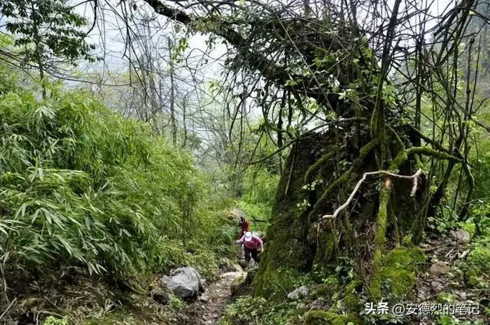 四川黄泉路：国内一级禁区，政府下令封禁400年，谜团至今未解