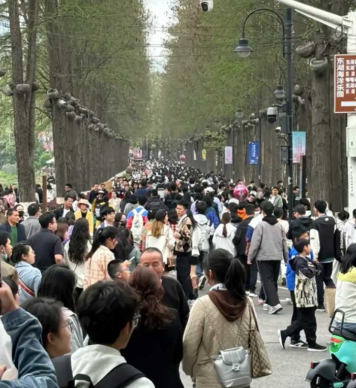 刚从武汉回来，越想越后悔，感觉像是被网上骗了！