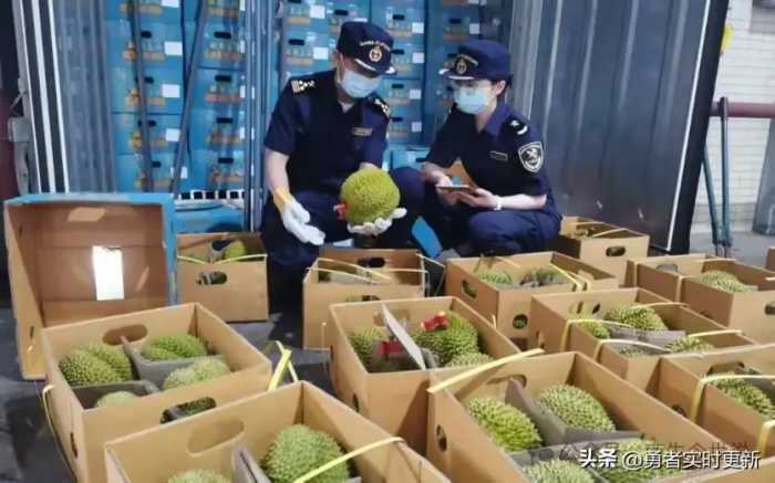 250万吨！价格暴跌一半，泰越愁容满面：中国不再为高价榴莲买单