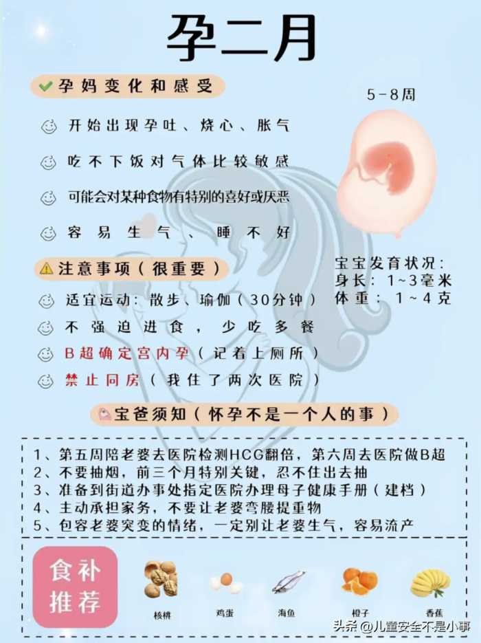 怀孕 1-10 月，每月要做什么？