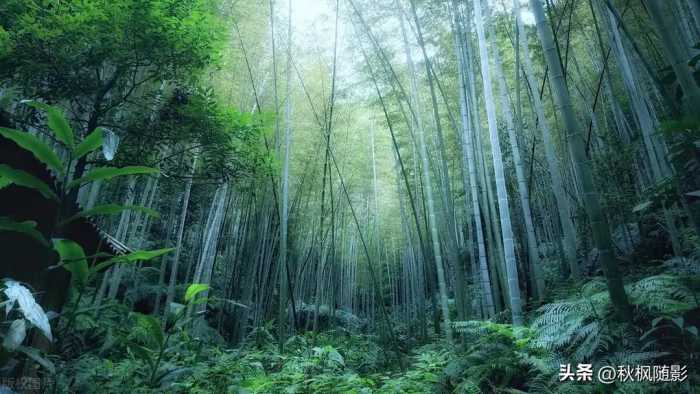 央视发布中国10大宜居城市：寻岁月静好之地，择一城终老！