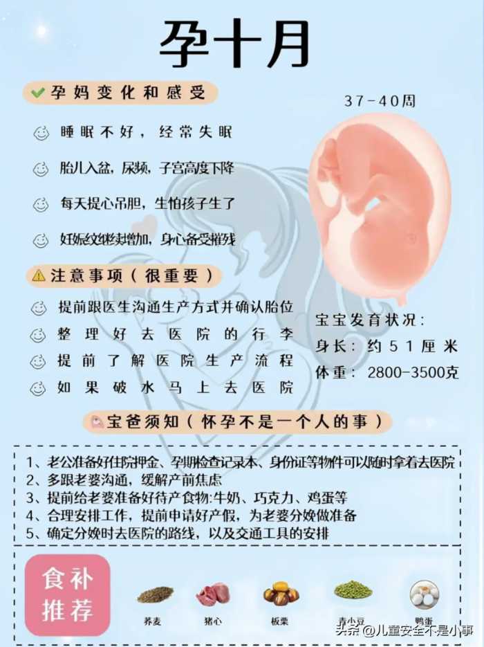 怀孕 1-10 月，每月要做什么？