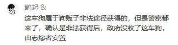 狗贩子拉了一车狗前往广西，途中被人拦截，这一车有1200只狗狗