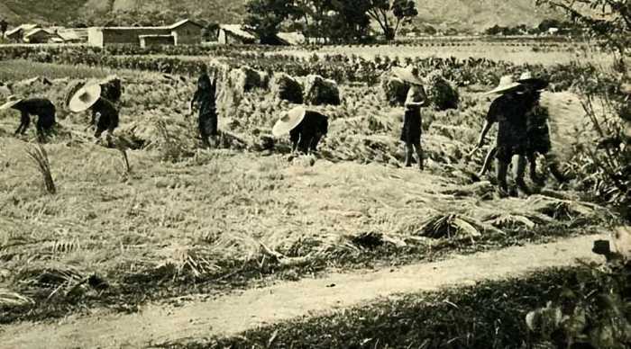 他曾任浙江省委书记，1966年被打倒，后来把一个浙江变成三个浙江