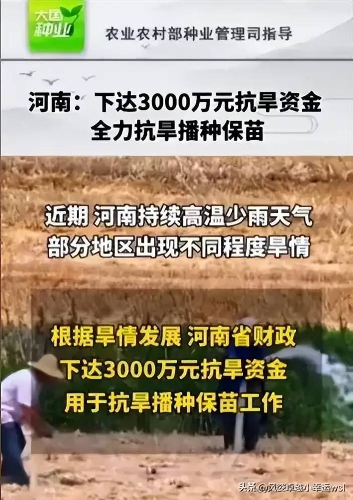 闹大了！河南干旱，省财政下发3000万巨款抗旱！网友竟骂声一片！