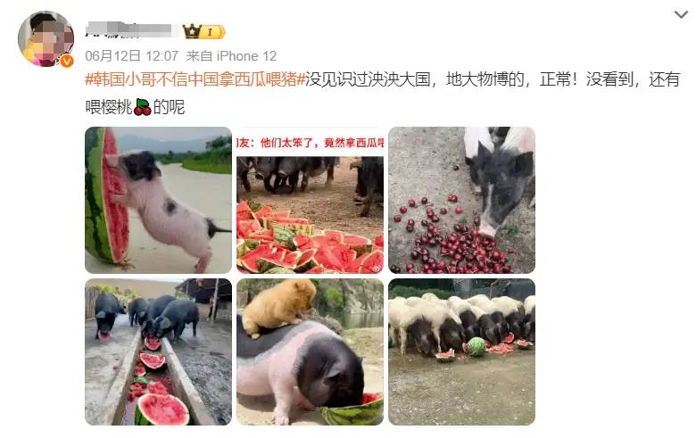 炸裂！韩国大学食堂“限量一块肉”后，特意用中文提示，评论炸锅