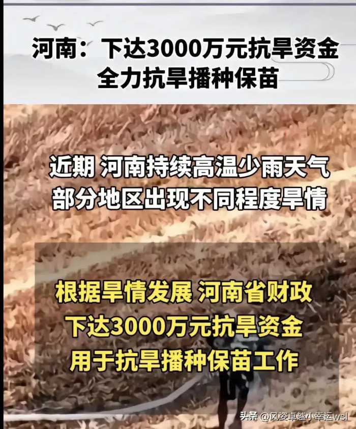 闹大了！河南干旱，省财政下发3000万巨款抗旱！网友竟骂声一片！