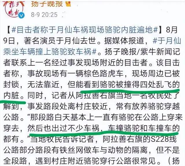 于月仙车祸3年后真相？丈夫调查20小时疲劳驾驶，背后隐情惊人