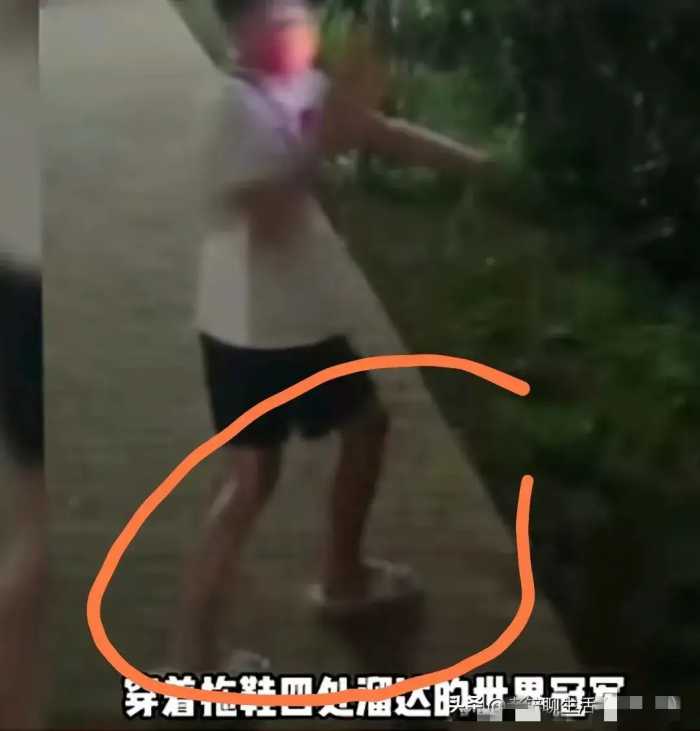 全红婵同款拖鞋价格曝光，原来不努力连拖鞋都穿不起，扎心太真实