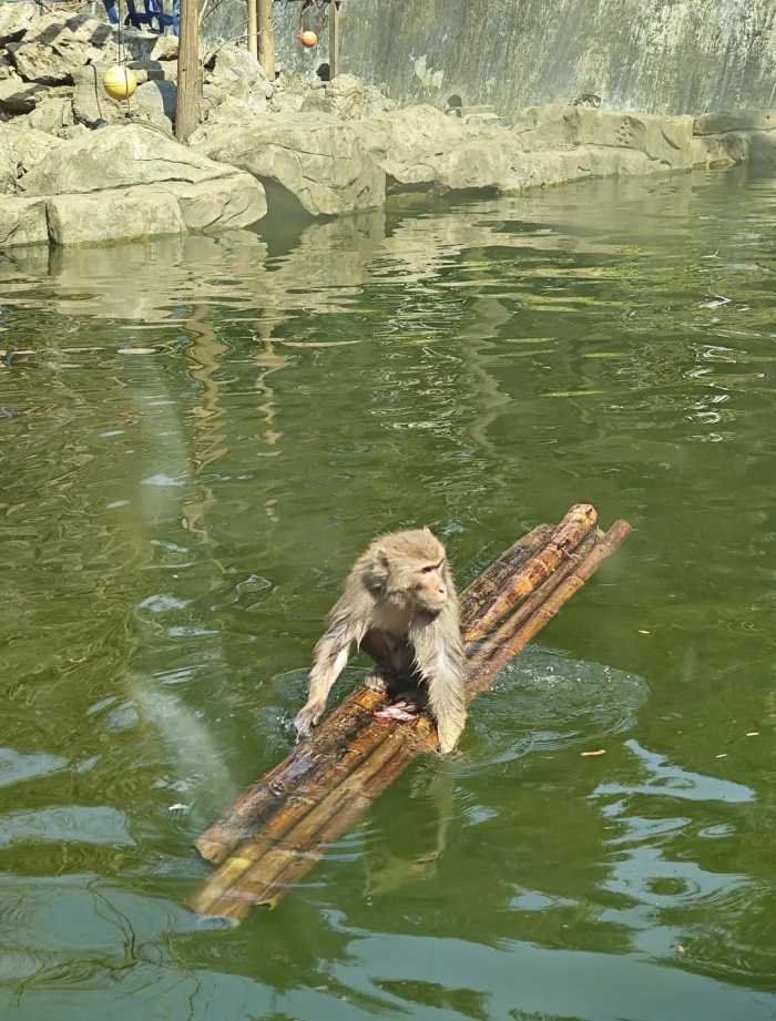 南京旅行三天，一共去了10个地方，说一些个人看法，都是真实感受