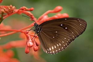 收评：史诗级利好，催生A股今日大涨行情。 A股全面卖空时代结束